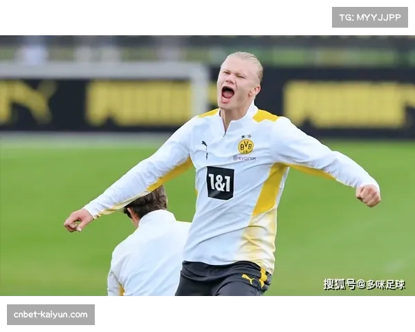 马塔拉佐三中卫体系稳固 霍芬海姆边翼卫前插成进攻主要手段 马塔拉佐三中卫体系稳固 霍芬海姆边翼卫前插成进攻主要手段